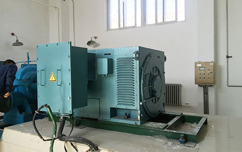 国营东和农场某水电站工程主水泵使用我公司高压电机一年质保